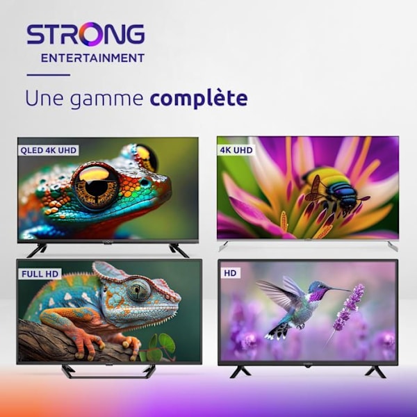 STRONG - TV HD 24" (60 cm) Google TV - Wifi - Bluetooth - Chromecast - 12V Husvagn, Campingbil, ... - 3 Tuners- 2 HDMI(1 ARC)+USB