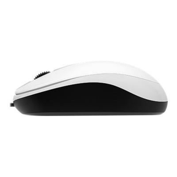 GENIUS DX-120 Mus - Kabelforbundet -3 knapper - Optisk - 1000 dpi - Hvid - PC / Mac