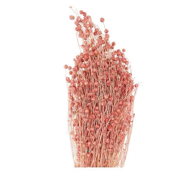Vaaleanpunainen kuivattu pellava - 70 cm Rosa