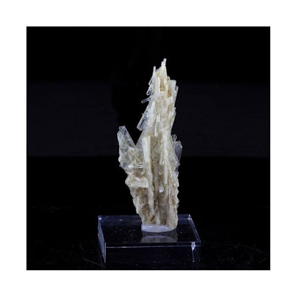 Sten og mineraler. Klinozoisit. 19,0 ct. Marine de Scala, Canari, Haute-Corse, Frankrig.