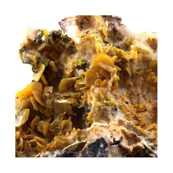 Sten og mineraler. Wulfenit + Galena. 1642,5 ct. Touissit, Jerada-provinsen, Marokko.