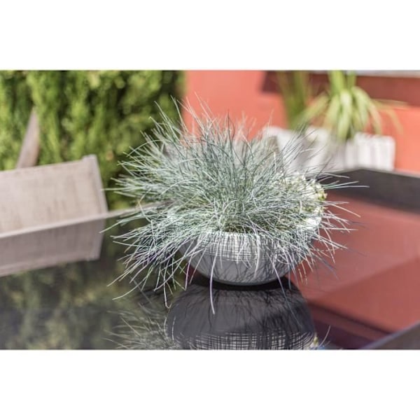 EDA Rund Blomsterkrukke Graphit Up 14,9 L - Hvid ceruseret - Ø 40 cm kalkad vit