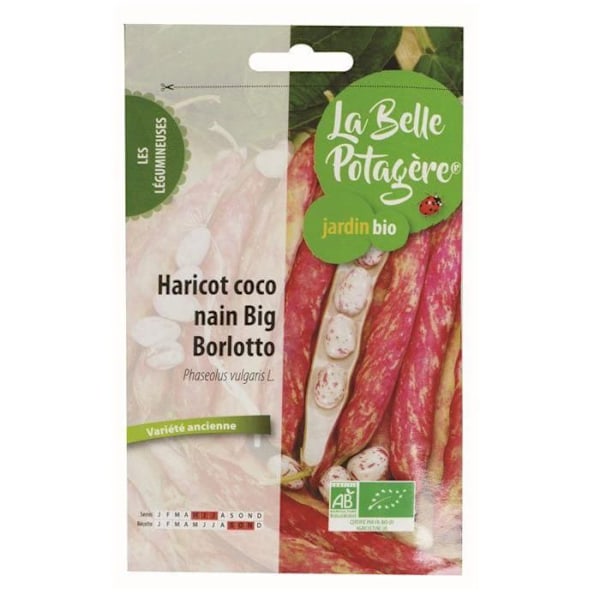 Frø at så - Big Borlotto dværg kokosbønne - 50 g