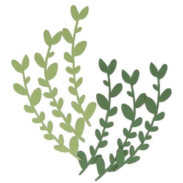 6 arkkia alppisalviapaperia Grön