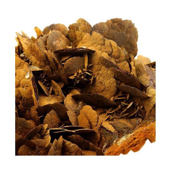 Sten og mineraler. Siderit. 5554,0 øre. Pierre Rousse mine, Vizille, Isère, Frankrig.