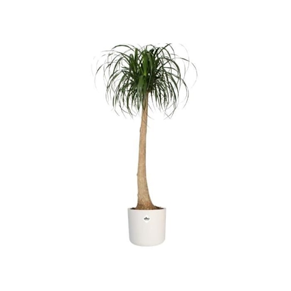ELHO B.for Soft Rund blomkruka 35 - Vit - Ø 35 x H 32 cm - inredning - 100% återvunnen