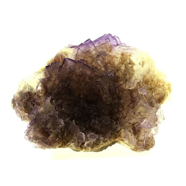 Sten og mineraler. Fluorit. 1399,0 ct. Tule Mine, Melchor Múzquiz, Coahuila, Mexico.