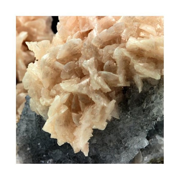 Dolomite + Quartz 1965,0 karat Flerfärgad