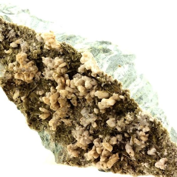 Sten og mineraler. Klinozoisite, Albite. 2244,0 øre. Marine de Scala, Canari, Haute-Corse, Frankrig.