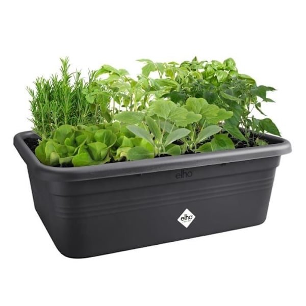 Elho Green Basics Jardin De Culture L blomsterkasse - Sort - L 76 x B 57 x H 27 cm - dyrkning og høst udendørs - 100% genbrug Svart