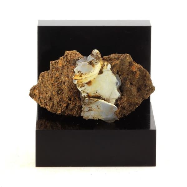 Lussatite (Opal-CT) 88,34 karat