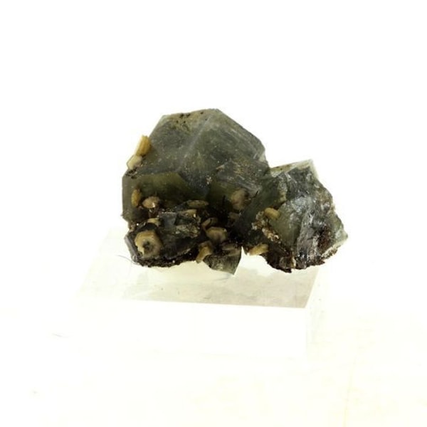 Sten og mineraler. Apatit + Muskovit. 33,05 øre. Panasqueira-minerne, Covilhã, Portugal.