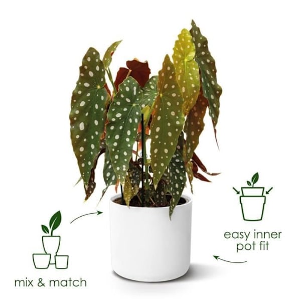 ELHO B.for Soft rund urtepotte - Sort - Ø 35 x H 32 cm - indvendig - 100% genanvendt Antracit
