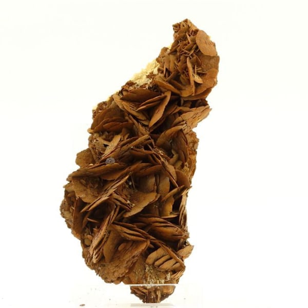 Siderite + Sphalerit 1605,0 karat