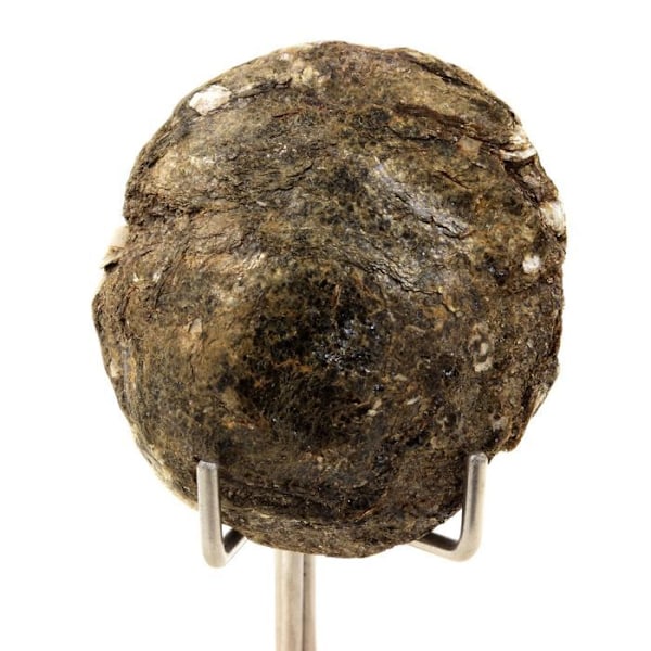 Sten og mineraler. Biotit. 145,5 øre. Freita Mountain, Arouca, Aveiro, Portugal.