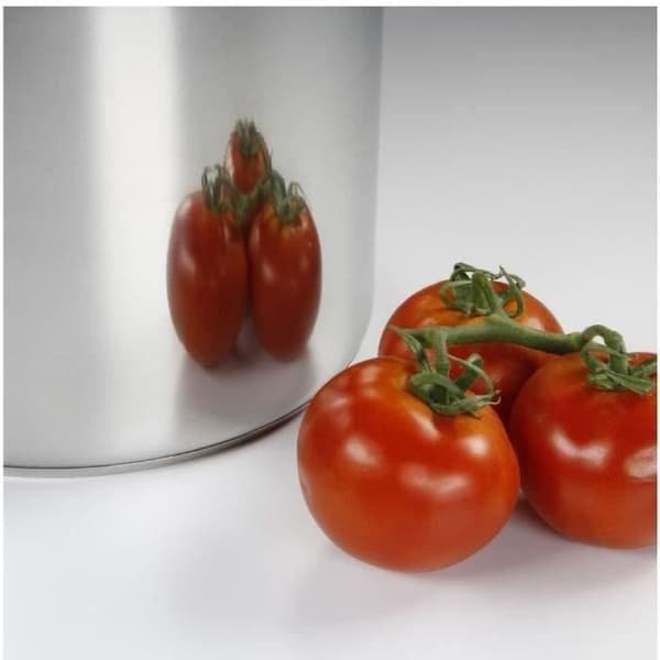 BAUMALU Inox Catering + glaslåg - 26 cm Grå