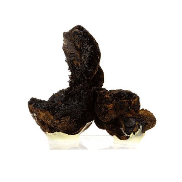 Goethite 766,1 karat Flerfärgad