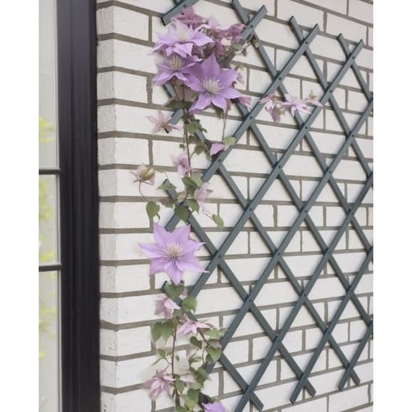 Expanderbart trellis - NATUR - I plast Anthracite - 50 x 150 cm antracit