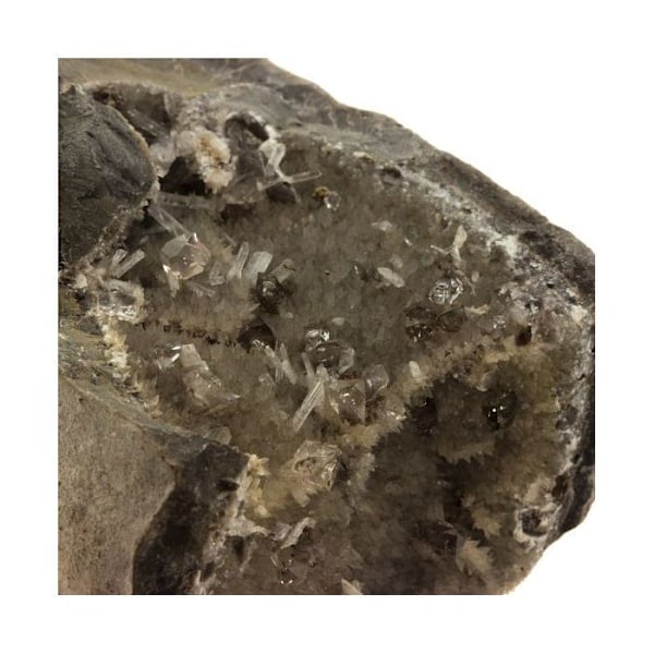 Sten og mineraler. Septaria, Diamond Quartz, Celestine. 1222,0 øre. Condorcet, Drôme, Frankrig.