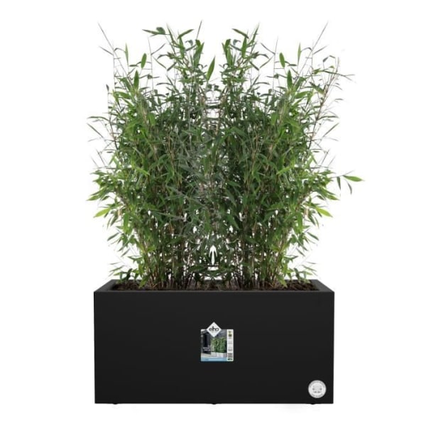 Elho Vivo Next Long 60 Blomsterkasse - Sort - L 59 x B 30 x H 29 cm - indendørs - 100% genanvendt Living Black