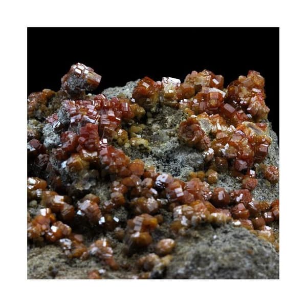 Sten og mineraler. Vanadinit. 1009,5 øre. Mibladen Mining District, Midelt, Marokko.