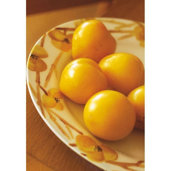 Posliinimaalaus - Pébéo - 150 Kiiltävä - Sahrami N°03 - 45ml - Kiiltävät ja läpinäkymättömät värit Orange