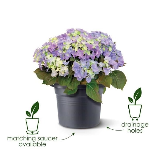 Elho Green Basics Cilinder 55 blomsterkasse - Sort - Ø 54 x H 41 cm - udendørs - 100% genanvendt Svart