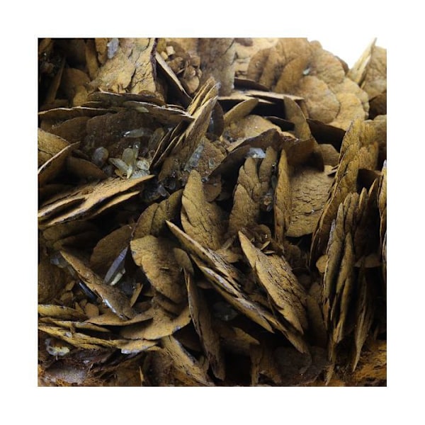 Sten og mineraler. Siderit. 5554,0 øre. Pierre Rousse mine, Vizille, Isère, Frankrig.