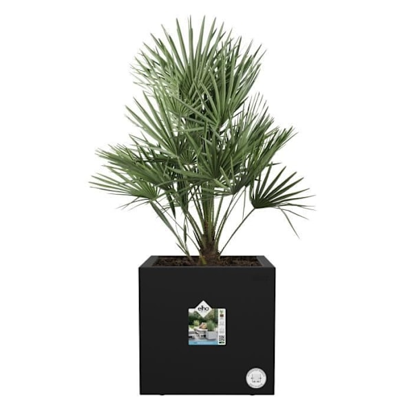 Elho Vivo Next Square 40 Blomsterkasse - Sort - Ø 39 x H 38 cm - indvendigt - 100% genanvendt