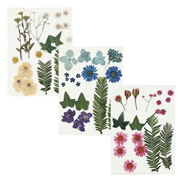 3 buketter tørrede blomster - pink-blå-beige Flerfärgad