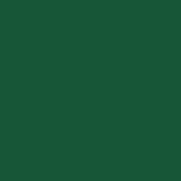 Akrylfärg - Pebeo - P.BO Déco - Mörkgrön - 45ml - Blank Grön