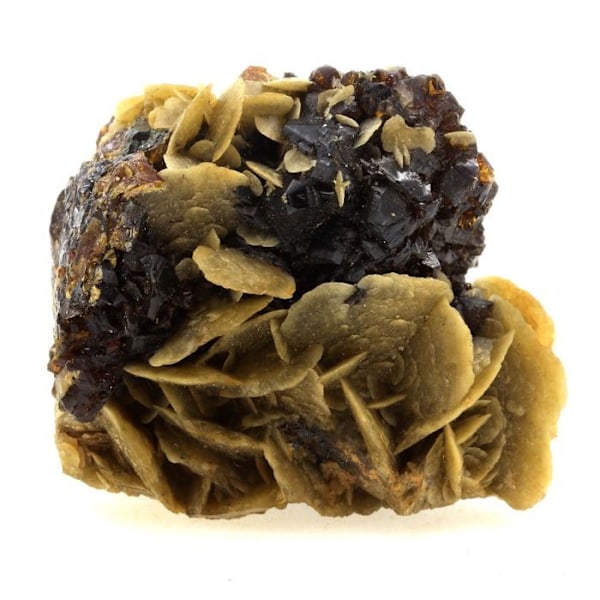 Stenar och mineraler. Sphalerit (Blende) + Siderit. 590,3 cent. La Mure, Isère, Frankrike. sällsynt.