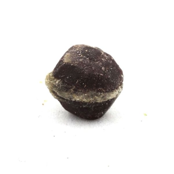 Stenar och mineraler. Granat. 2,71 cent. Skardu-området, Gilgit-Baltistan, Pakistan.