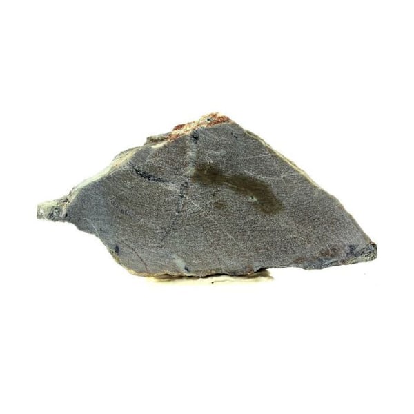 Hydrogrossulär rodingit, Diopside, Klorit 541,6 karat Grön