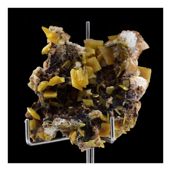 Sten og Mineraler - ABIJOUX - Wulfenit - 233,5 ct - Ægthedscertifikat - Grå