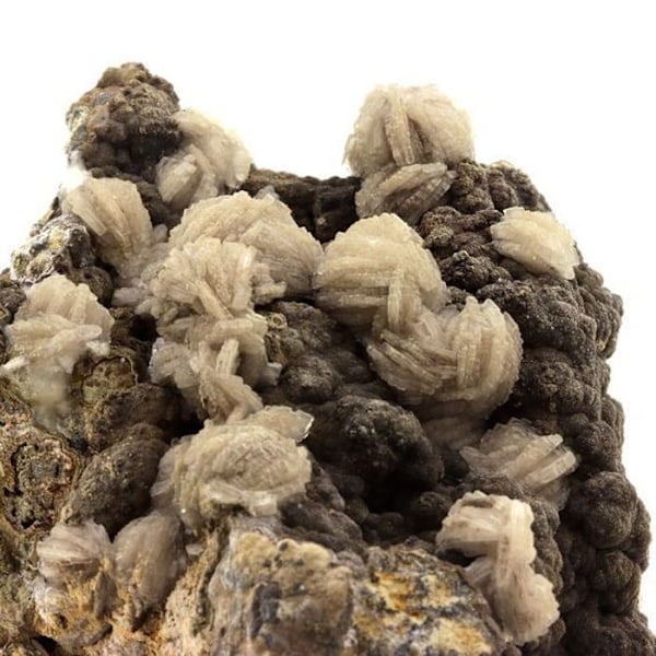 Sten og mineraler. Baryt + Pyrit. 2450,0 øre. Saint-Laurent-le-Minier, Occitanie, Frankrig.