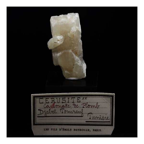 Stenar och mineraler. Cerussite. 117,0 cent. Djebel Touireuf, Tunisien.