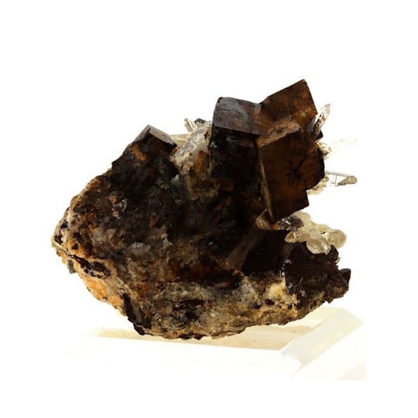 Stenar och mineraler. Siderit + Kvarts. 971,0 ct. Vaulnaveys-le-Haut, Isère, Frankrike.