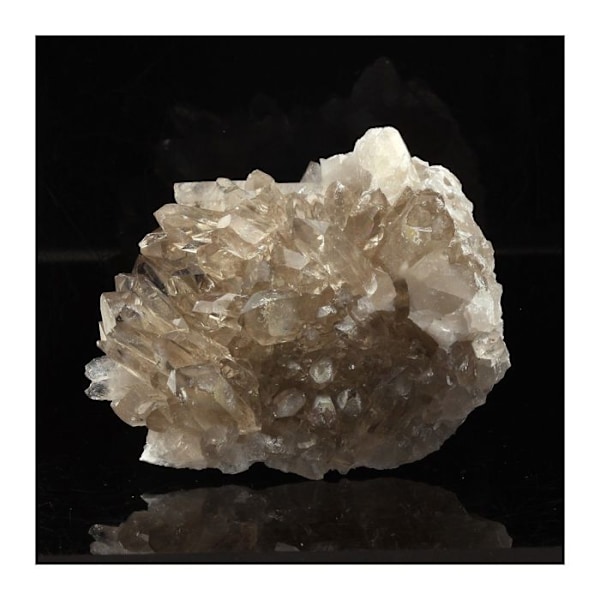 Sten og mineraler. Røgkvarts. 489,2 øre. Dome des Petites Rousses, Oz, Isère, Frankrig..