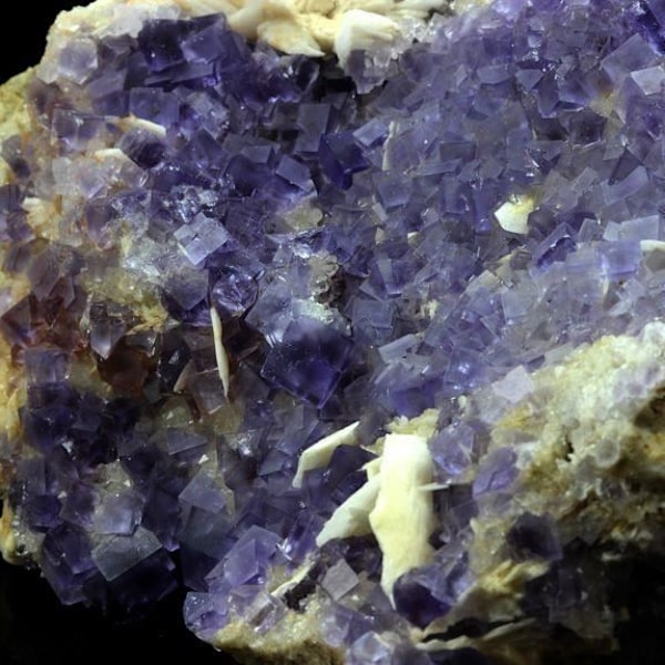 Sten og mineraler. Fluorit + Baryt + Kvarts. 5407,0 ct. La Cabaña, Berbes, Asturien, Spanien.