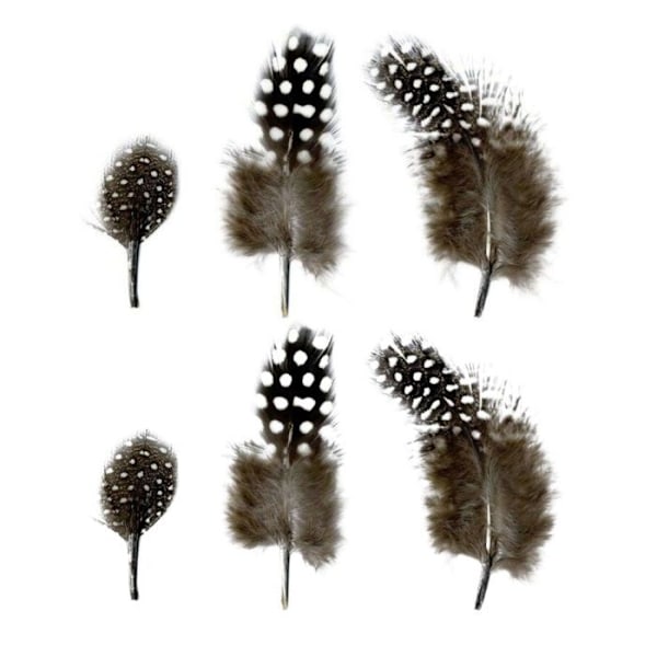 Naturlige fjer 2 til 6 cm - 6 g Svart