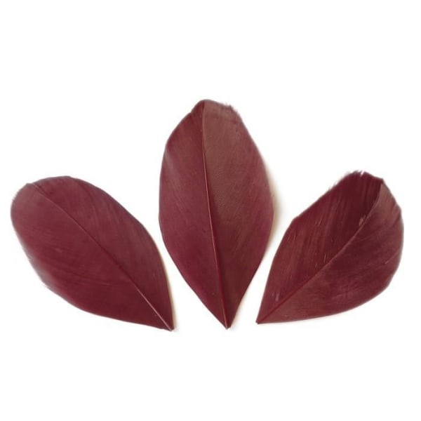 Kreativt frö - 50 skurna fjädrar - Bordeaux Röd 6 cm