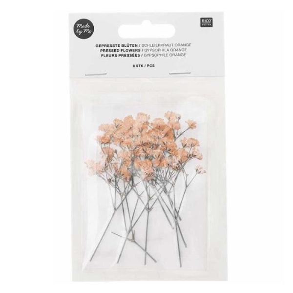 Tørret og presset orange gypsophila