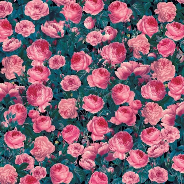 Infusible Ink Cabbage Rose -siirtoarkit - Cricut