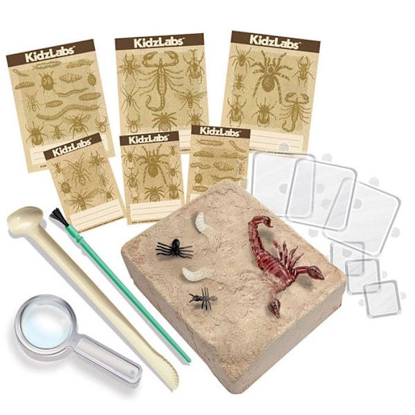 Science Discovery Kit - Grav insekter op Flerfärgad