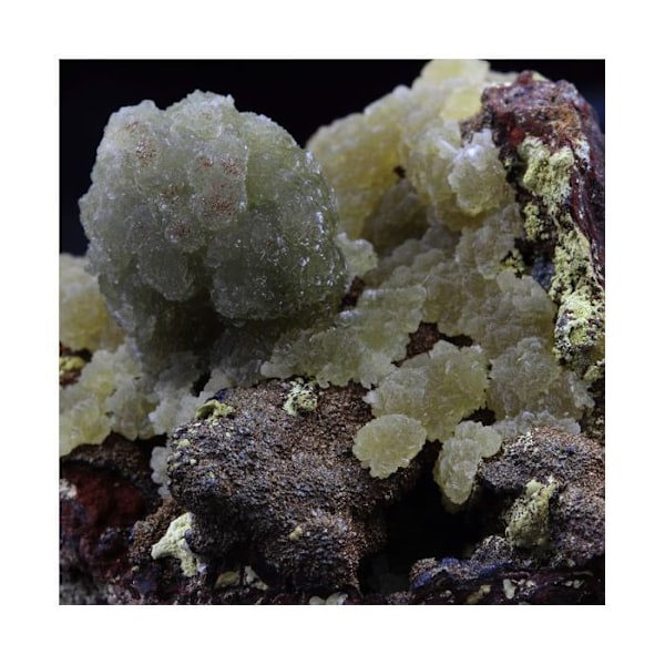 Sten og mineraler. Austinit. 555,0 øre. Ojuela Mine, Mapimí, Mexico.