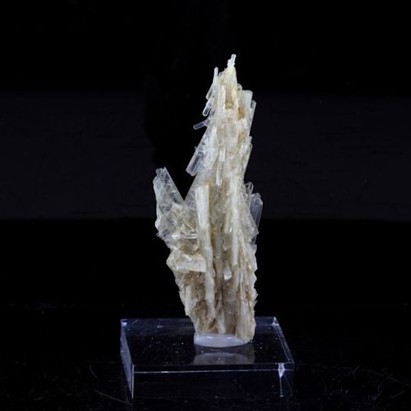 Sten og mineraler. Klinozoisit. 19,0 ct. Marine de Scala, Canari, Haute-Corse, Frankrig.
