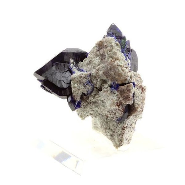 Sten og mineraler. Azurit. 180,0 øre. Milpillas Mine, Sonora, Mexico.