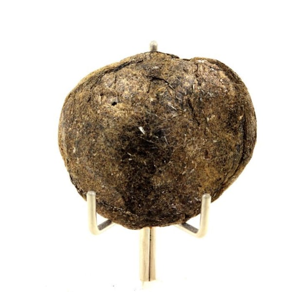 Sten og mineraler. Biotit. 84,58 øre. Freita Mountain, Arouca, Aveiro, Portugal.