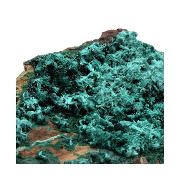 Sten og mineraler. Brochantite. 2543,0 øre. Kabolela-minen, Lualaba, Congo.